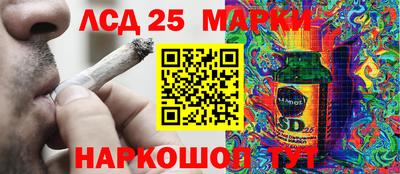 шишки Краснодар
