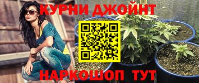 шишки Краснодар