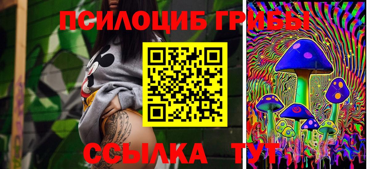 Куйбышев  Галлюциногенные грибы MAGIC MUSHROOMS  Вход с VPN 