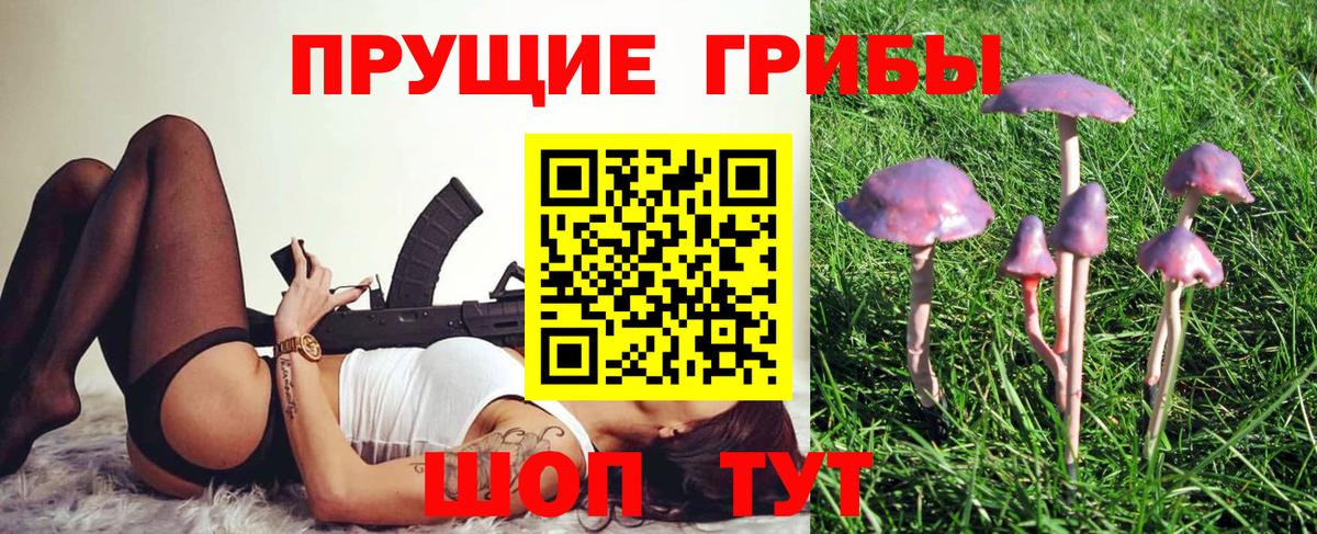 Галлюциногенные грибы Magic Shrooms Куйбышев